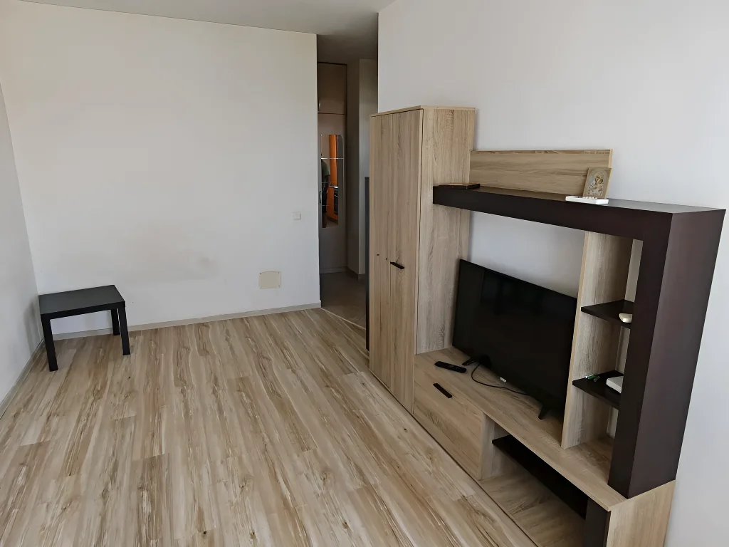 Vanzare garsoniera Sector 3 Bucuresti living modern cu TV